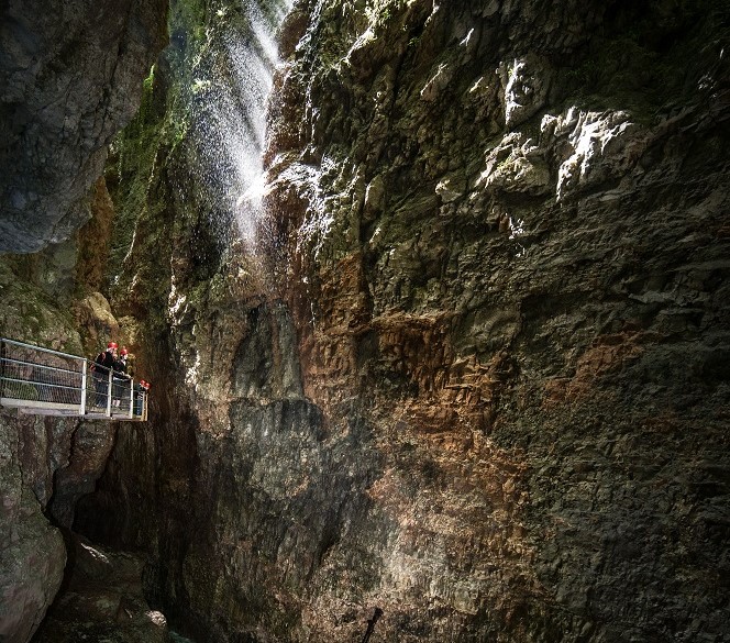 Le forre del Parco Fluviale Novella